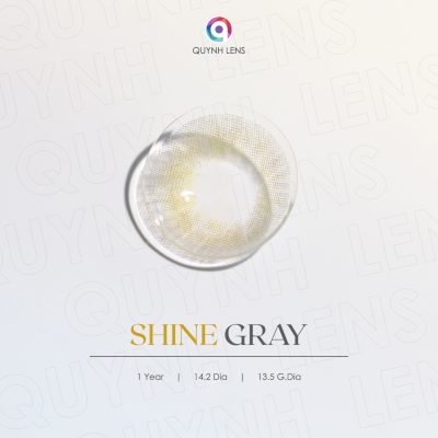 shine-gray-kinh-ap-trong-lens